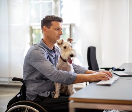 Man in wheelchair typing on computer with dog in lap